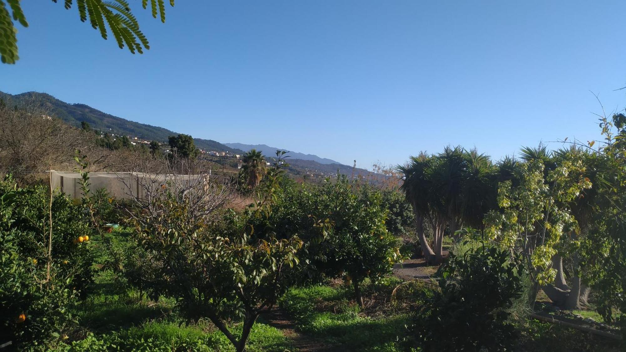 Finca Panorama Tijarafe Exteriér fotografie