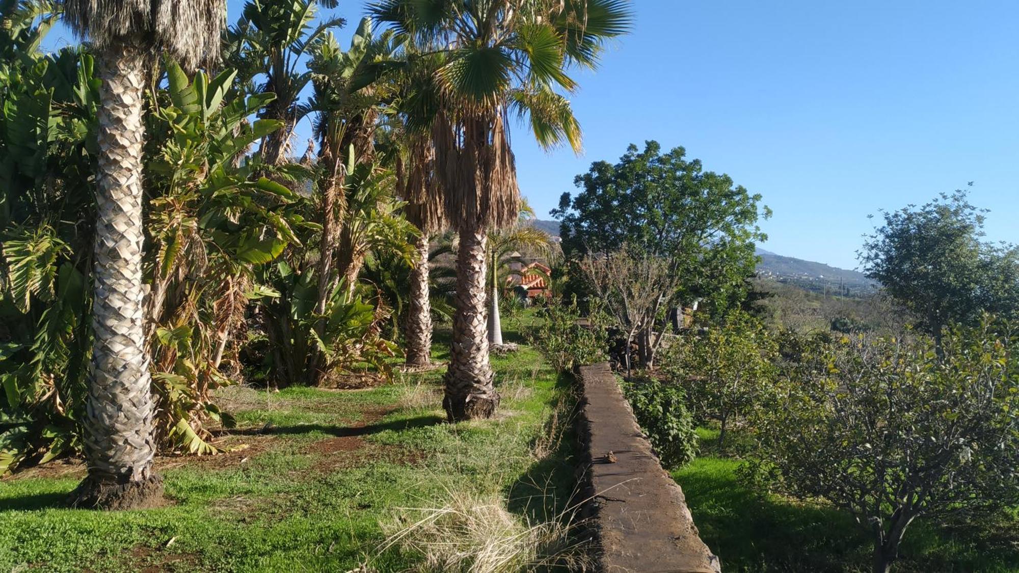 Finca Panorama Tijarafe Exteriér fotografie