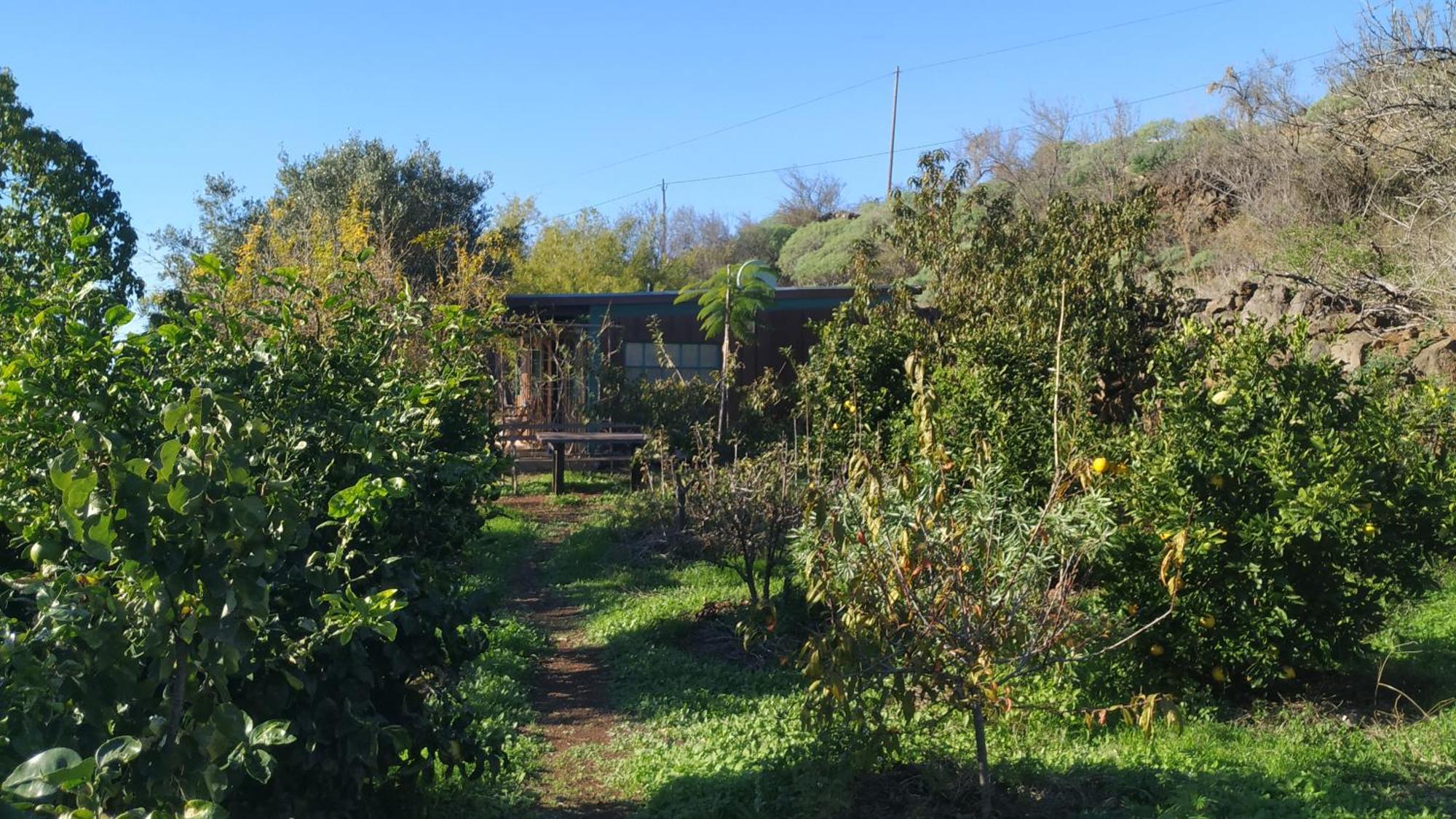 Finca Panorama Tijarafe Exteriér fotografie